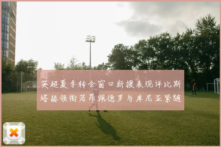 英超夏季转会窗口新援表现评比斯塔赫领衔若昂佩德罗与库尼亚紧随其后