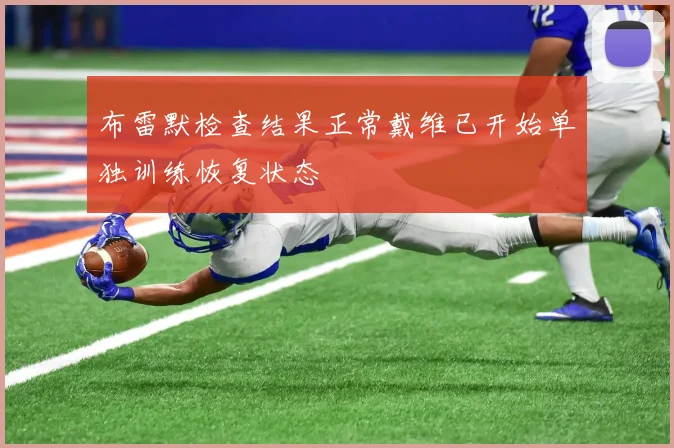 布雷默检查结果正常戴维已开始单独训练恢复状态