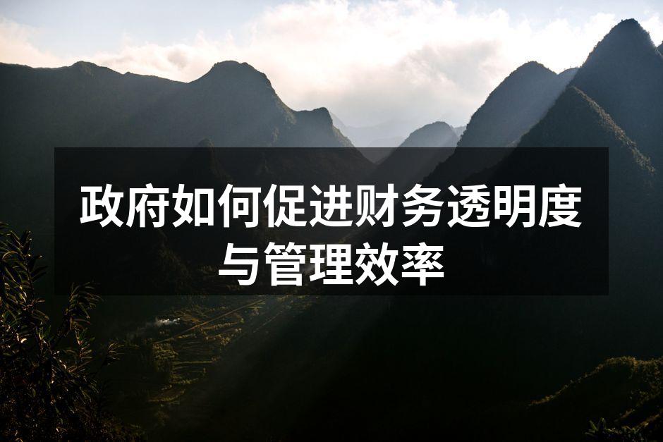政府如何促进财务透明度与管理效率