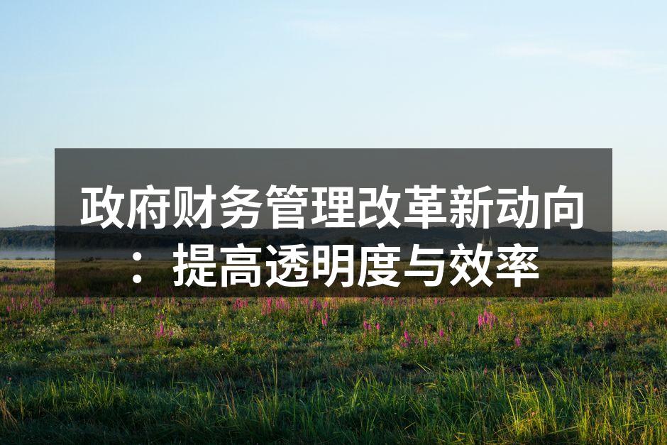 政府财务管理改革新动向：提高透明度与效率